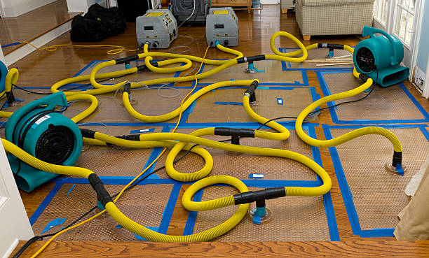 Professional Flood Damage Restoration technician working in Eltopia, WA
